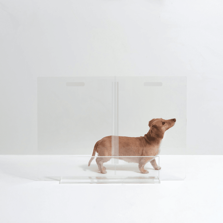 Hiddin Clear Acrylic Panel Pet Gate – Freestanding, 30 in High