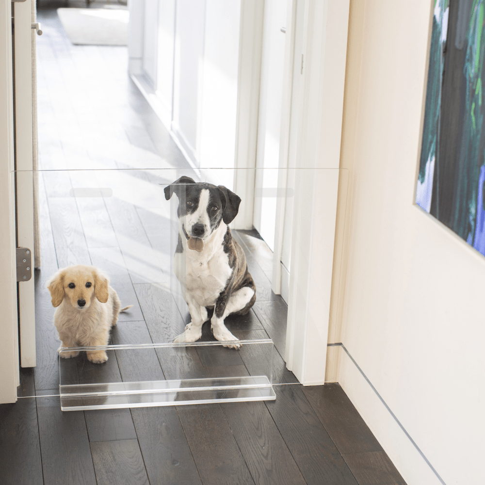 Hiddin Clear Acrylic Panel Pet Gate – Freestanding, 30 in High