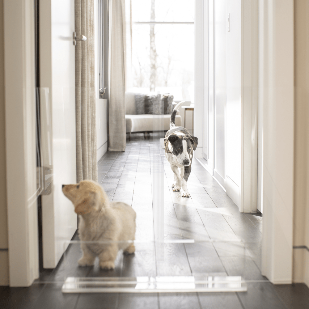 Hiddin Clear Acrylic Panel Pet Gate – Freestanding, 30 in High