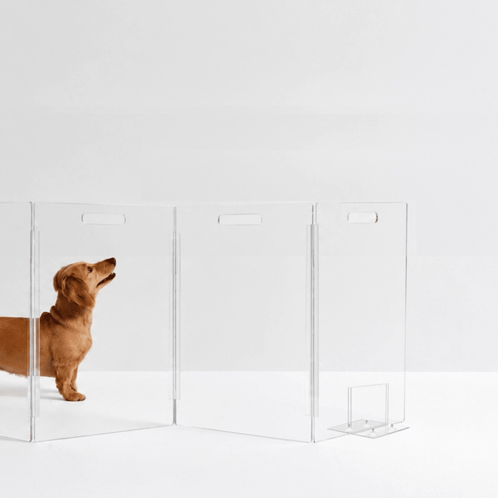 Hiddin Low Clear Acrylic Zig Zag Pet Gate – Freestanding, 24 in High