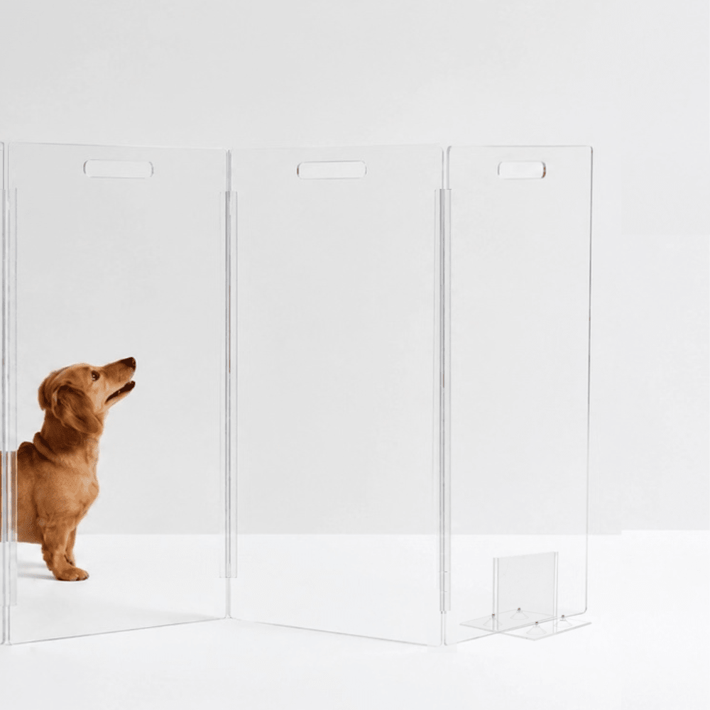 Hiddin Tall Clear Acrylic Zig Zag Pet Gate – Freestanding