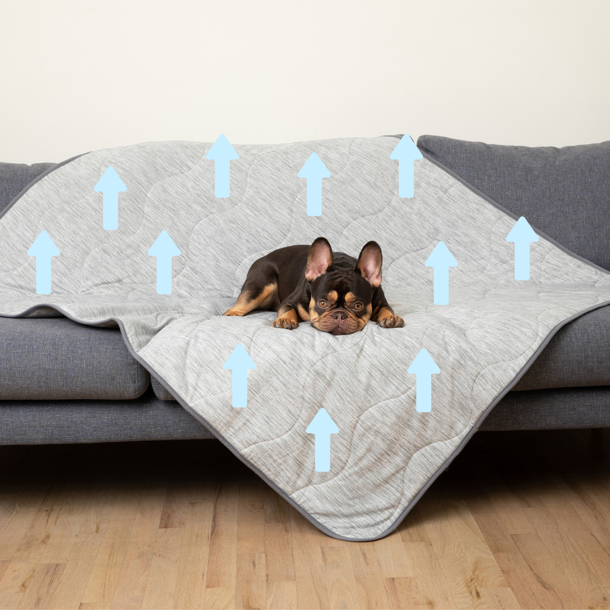 PupChill Cooling Waterproof Blanket Arctic Grey by Paw.com; dog resting on a quilted blanket.