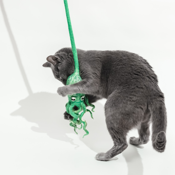 Ink Floyd wool octopus cat toy with green tentacles hanging from a string
