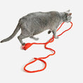 Load image into Gallery viewer, Catch a Mouse by the Tail Wool Cat Toy, red wool rope with a mouse-shaped end

