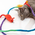 Load image into Gallery viewer, Catch a Mouse by the Tail wool cat toy; multicolor felt string with red mouse by Cat in the Box LLC
