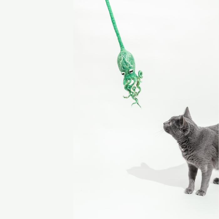 Ink Floyd wool octopus cat toy by Cat in the Box LLC; green hanging plush