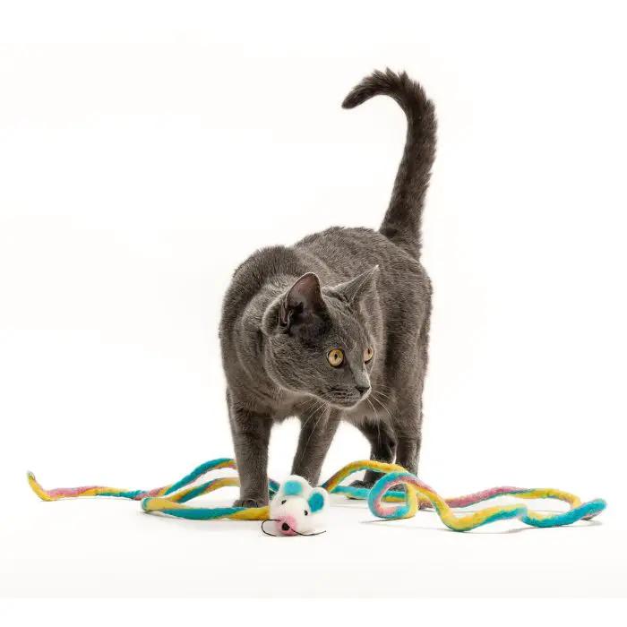 Catch a Mouse by the Tail - Wool Cat Toy, gray cat plays with a multicolored yarn mouse.
