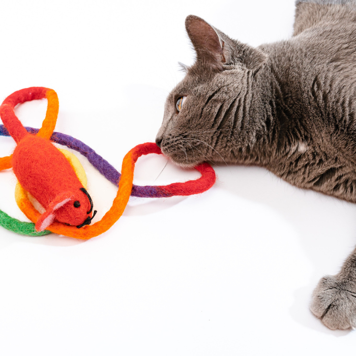 Catch a Mouse by the Tail - Wool Cat Toy, colorful felt mouse with rainbow tails