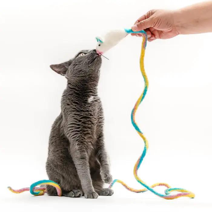Catch a Mouse by the Tail wool cat toy; gray cat reaches for a white wool mouse with a multicolor tail.