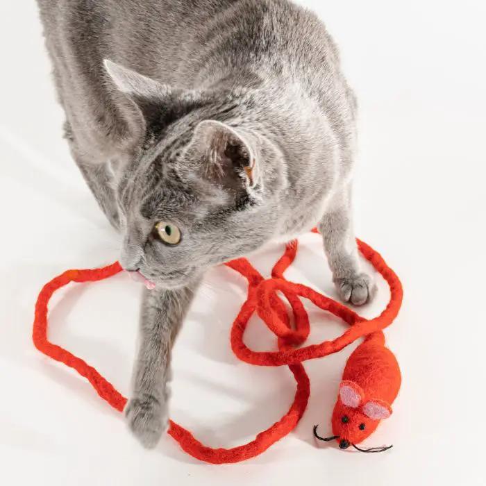 Catch a Mouse by the Tail Wool Cat Toy; red yarn mouse on a red string with a gray cat nearby
