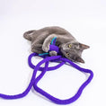 Load image into Gallery viewer, Catch a Mouse by the Tail wool cat toy in purple with green leaves by Cat in the Box LLC

