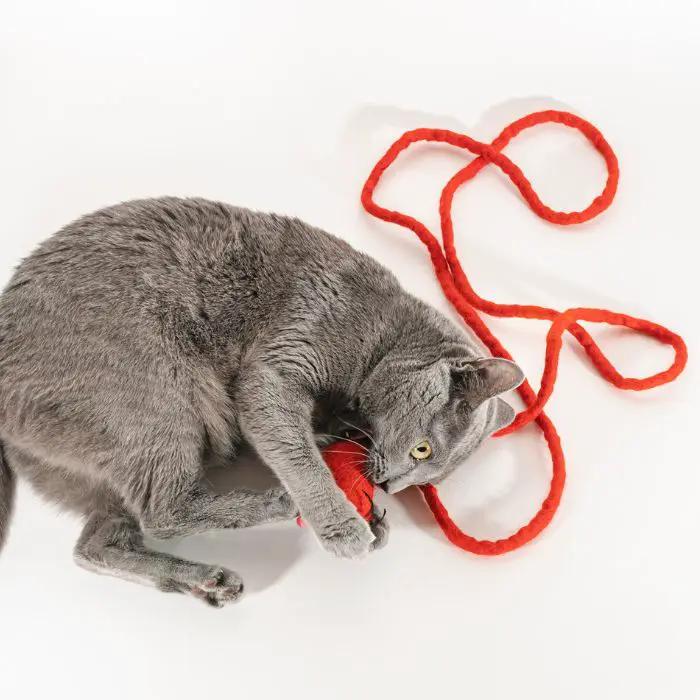Catch a Mouse by the Tail wool cat toy with red rope