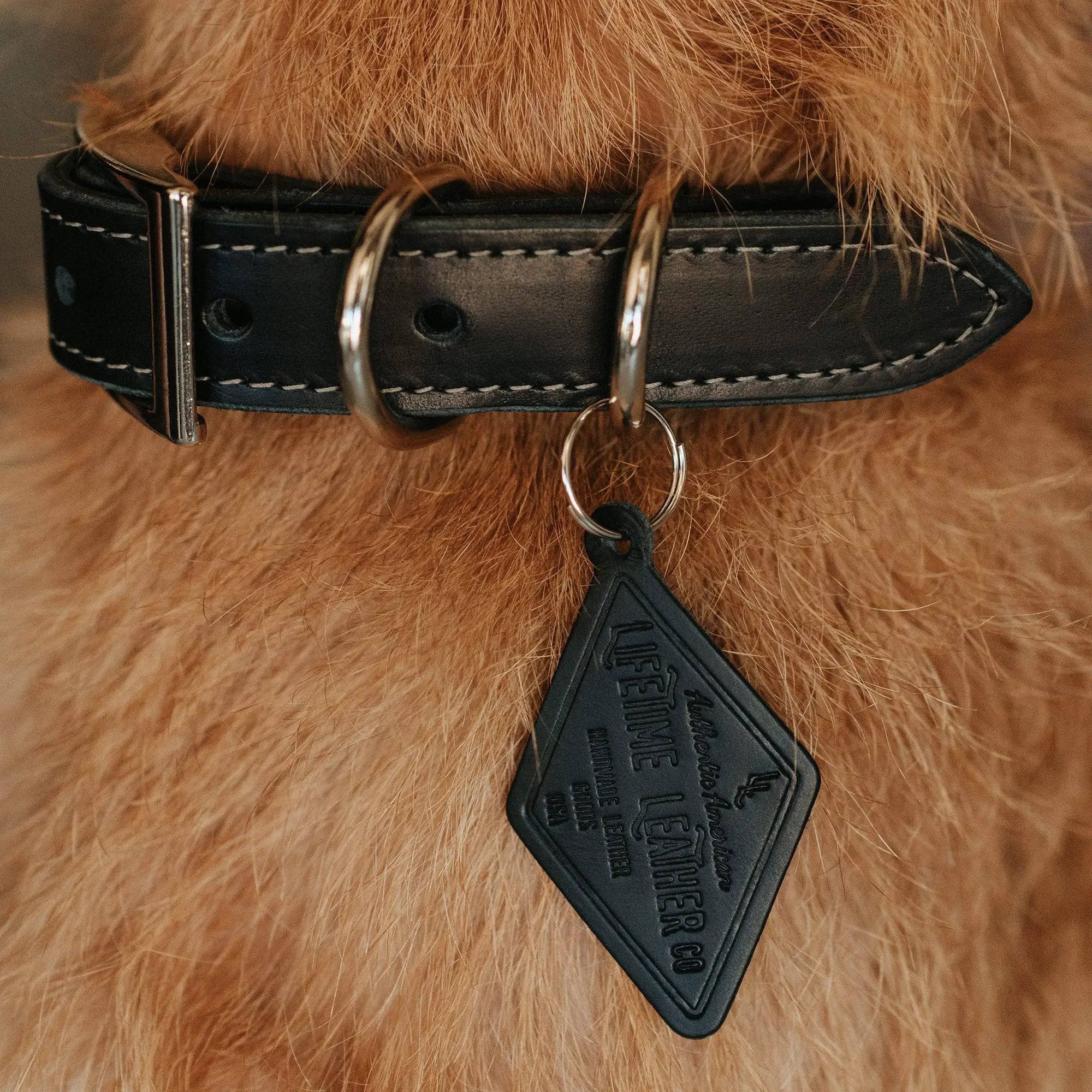 Designer Premium American Leather Dog Collar Full Grain Handcrafted by Lifetime Leather Co