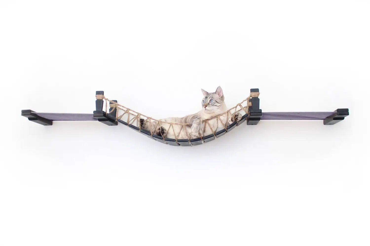 Double Cat Hammock and Climbing Bridge Combo by Catastrophic Creations, purple frame with rope net