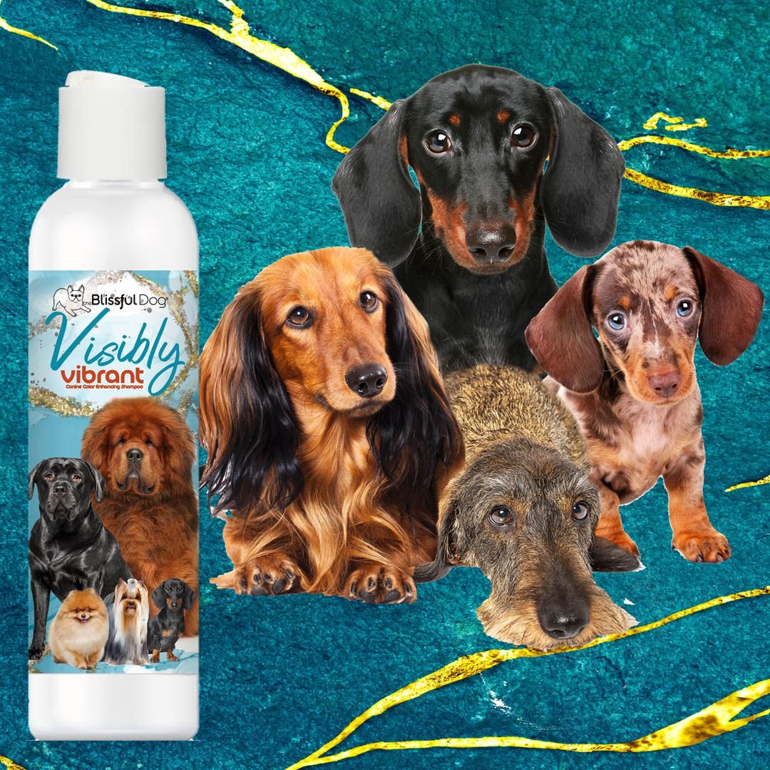 Visibly Vibrant Pet Shampoo, view 3