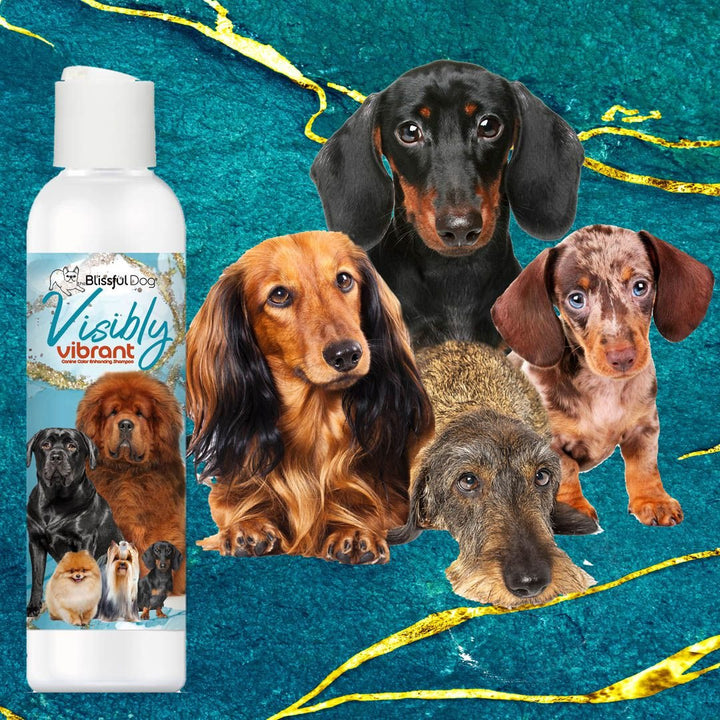 Visibly Vibrant Pet Shampoo, view 3