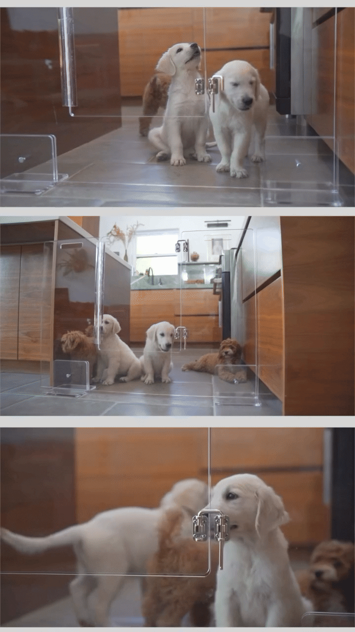 Hiddin Clear Acrylic Pet Gate with Door – Freestanding, 30 in High