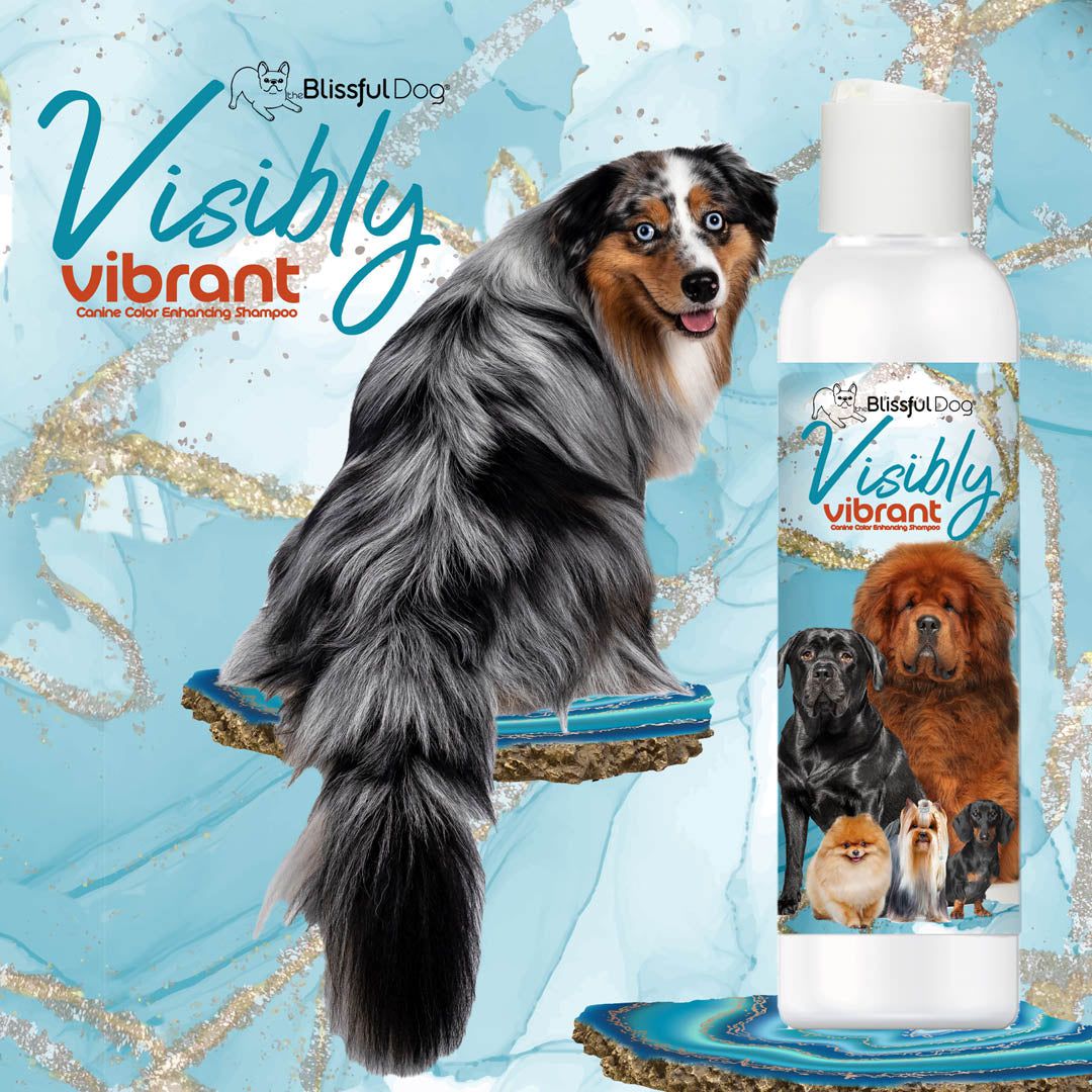Visibly Vibrant Pet Shampoo, view 4