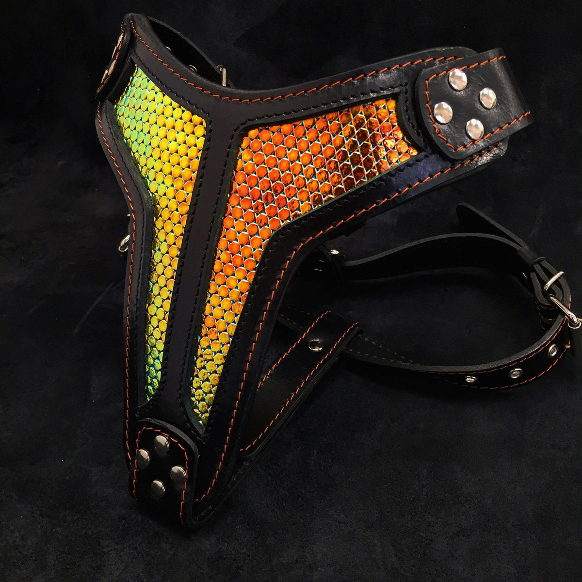 Bestia D'Albertis black and iridescent leather dog harness, view 2