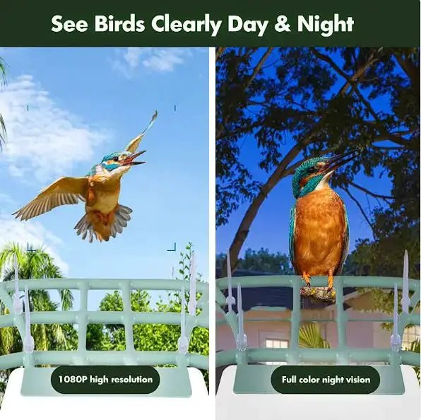 High Quality Solar Powered Smart Bird Feeder with High Definition Camera and Mobile App Control by Anti Spier
