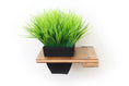 Load image into Gallery viewer, Cat Plant Stand for Wall by Catastrophic Creations; wooden wall-mounted cat shelf with a black planter and green faux grass
