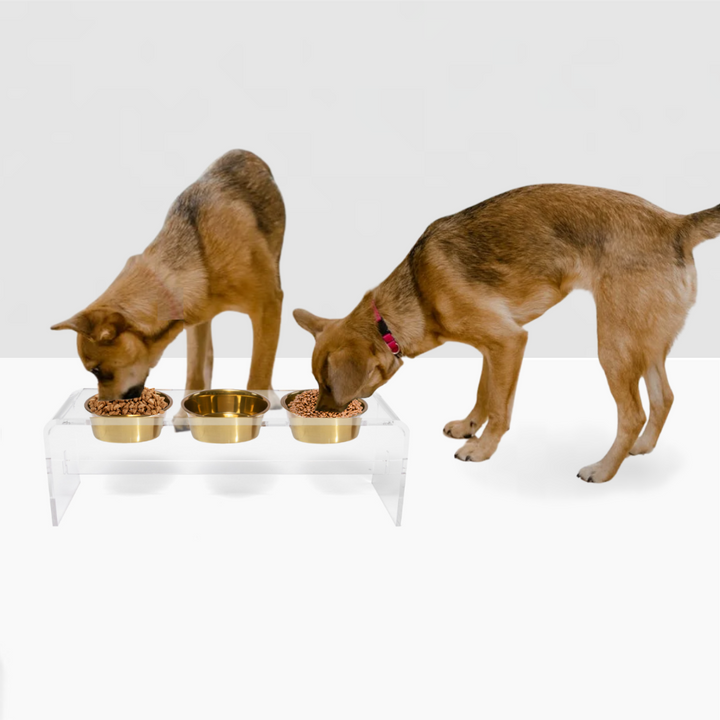 Hiddin Clear Acrylic Triple Feeder with Gold Bowls – 12 in High