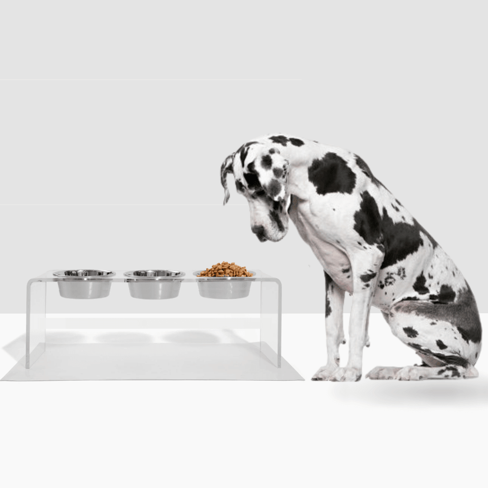 Hiddin Clear Acrylic Triple Feeder with Silver Bowls – 12 in High