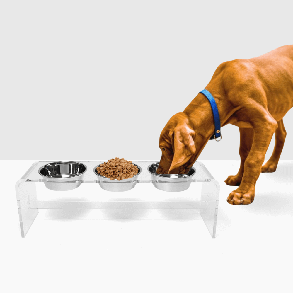 Hiddin Clear Acrylic Triple Feeder with Silver Bowls – 12 in High