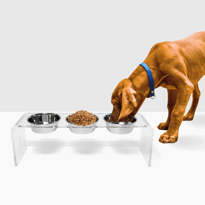 Hiddin Clear Acrylic Triple Feeder with Silver Bowls – 12 in High