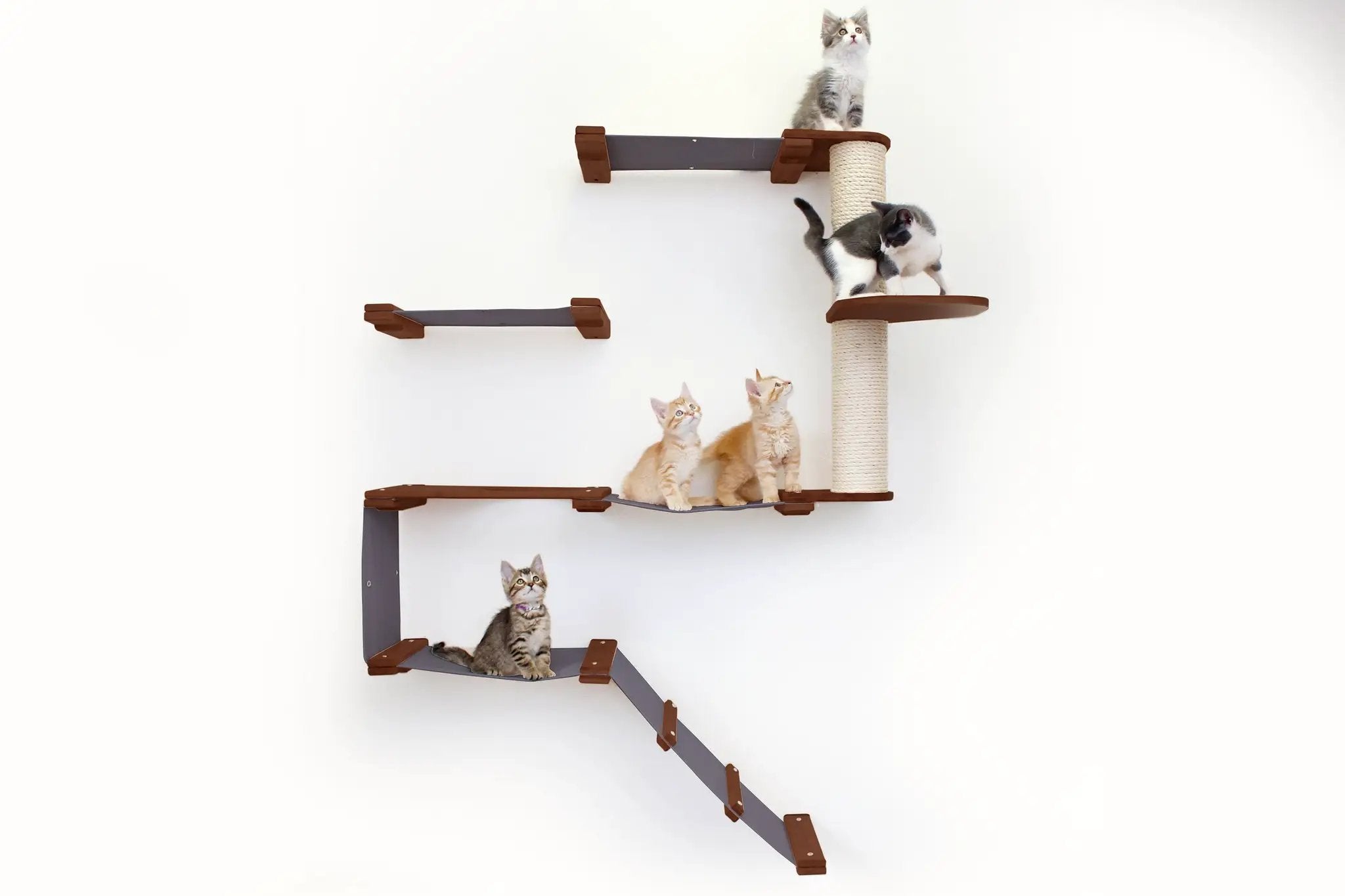The Deluxe Cat Fort Cat Condo by Catastrophic Creations; brown platforms with a sisal rope post.