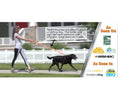 Load image into Gallery viewer, WUNDERleash – The Original No-Pull Dog Leash by WACKYstore
