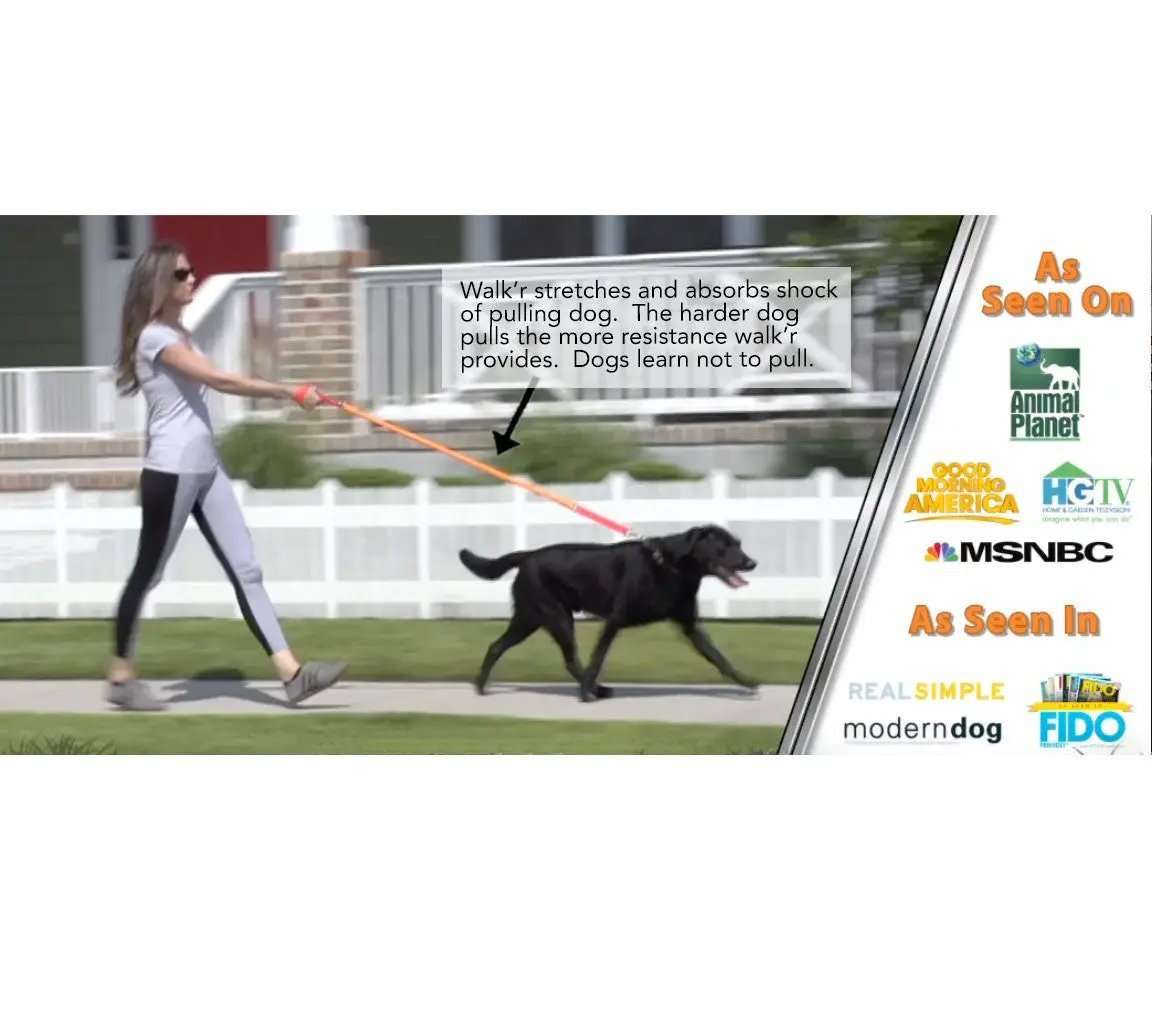 WUNDERleash – The Original No-Pull Dog Leash by WACKYstore
