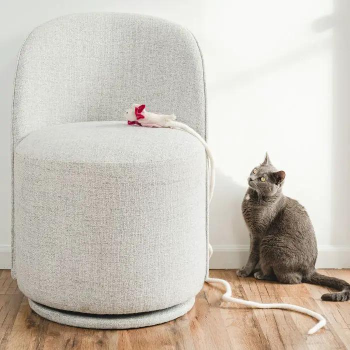 A Little Lotl axolotl wool cat toy on a white rope beside a curious gray cat in a light gray chair.