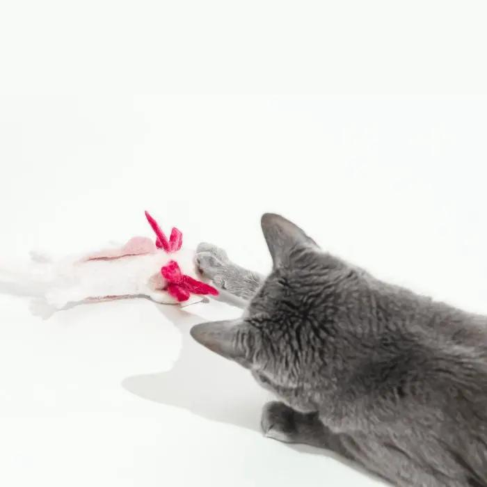 A Little 'Lotl Axolotl Wool Cat Toy by Cat in the Box LLC; grey cat reaching for pink and white plush