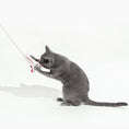 Load image into Gallery viewer, A Little Lotl axolotl wool cat toy; gray cat plays with a white rope toy with pink tassel.
