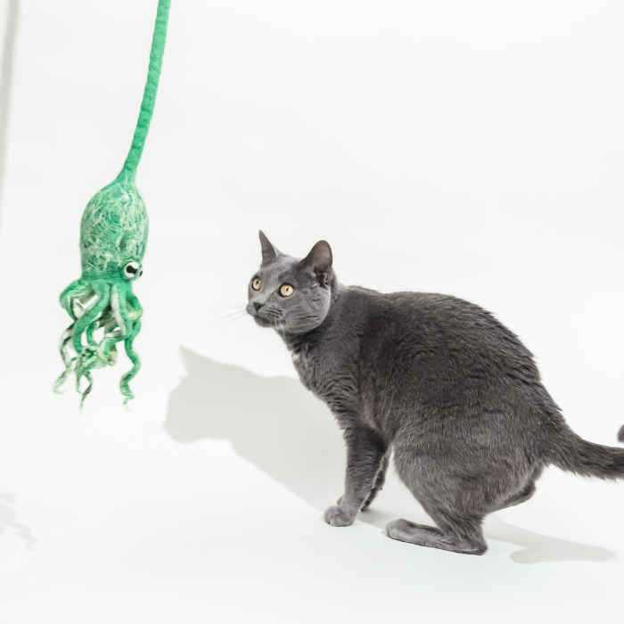 Ink Floyd wool octopus cat toy; green hanging octopus beside a curious gray cat.