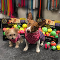 Charger l'image dans la visionneuse de la galerie, WUNDERball - Best Fetch Toy
