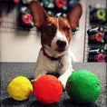 Charger l'image dans la visionneuse de la galerie, WUNDERball - Best Fetch Toy
