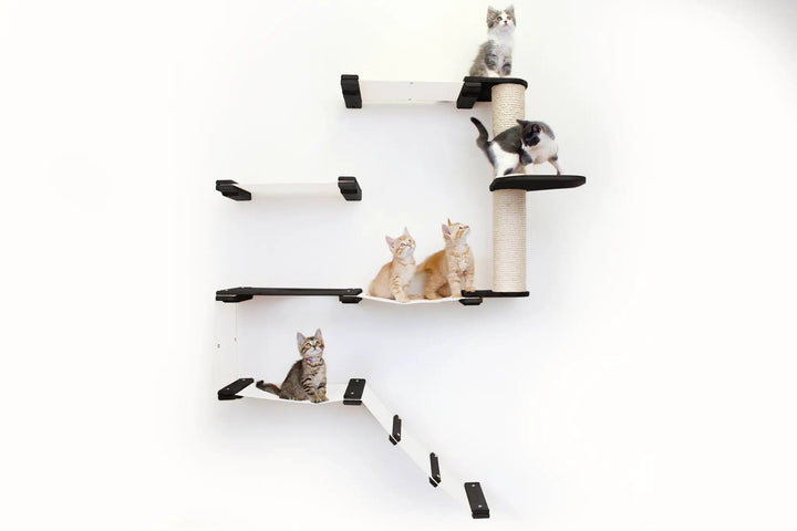 The Deluxe Cat Fort Modern Cat Condo by Catastrophic Creations; white platforms, black brackets, sisal post, 5 kittens.