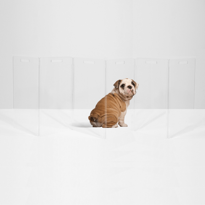 Hiddin Tall Clear Acrylic Zig Zag Pet Gate – Freestanding