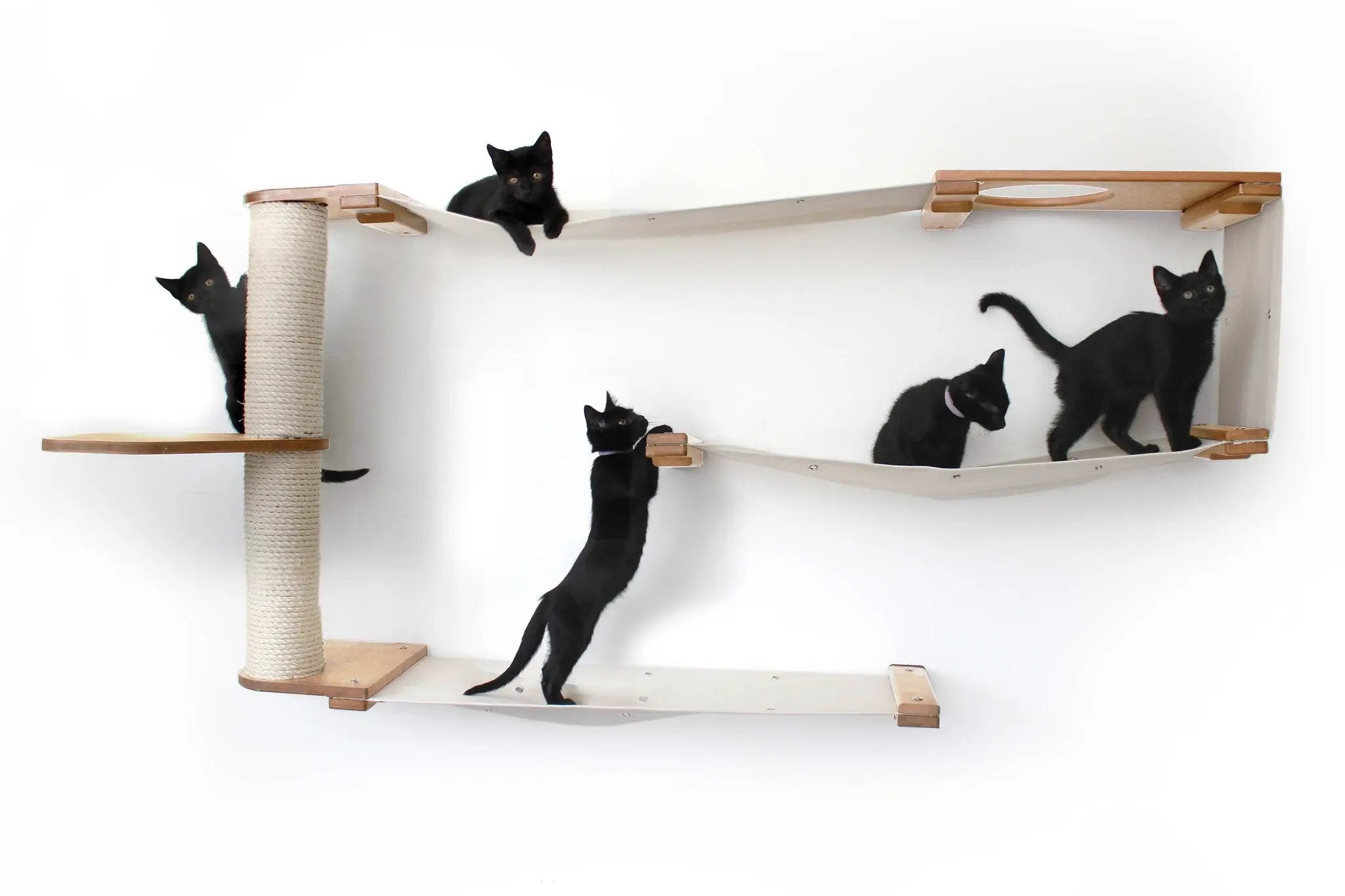 Cat Maze Wall 3-Tier Cat Tree by Catastrophic Creations; wooden frame, sisal post, black cats