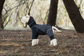 Load image into Gallery viewer, SOCKPET Spring Dog Rainproof Jacket; black/gray waterproof pet rain coat with hood.
