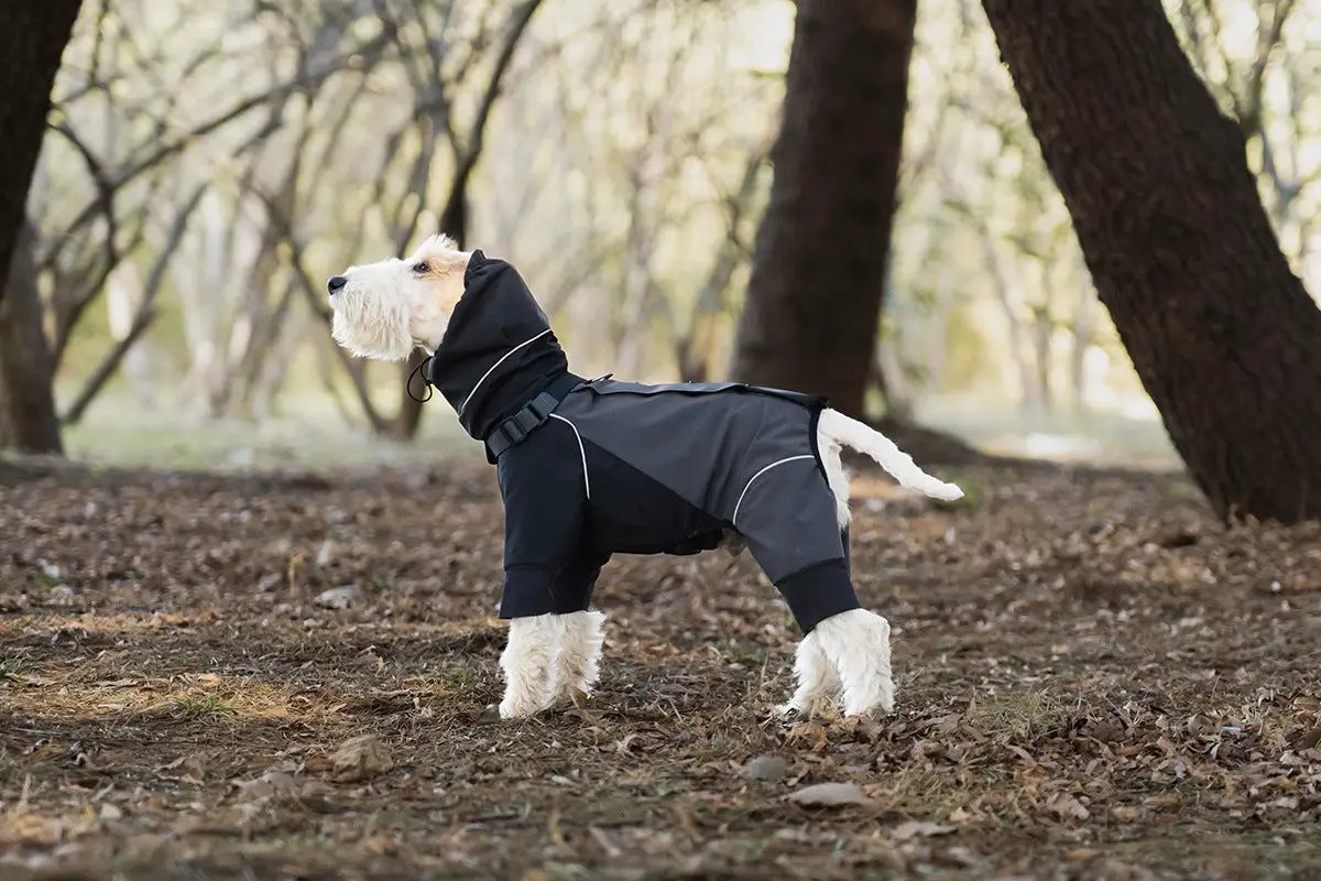 SOCKPET Spring Dog Rainproof Jacket; black/gray waterproof pet rain coat with hood.