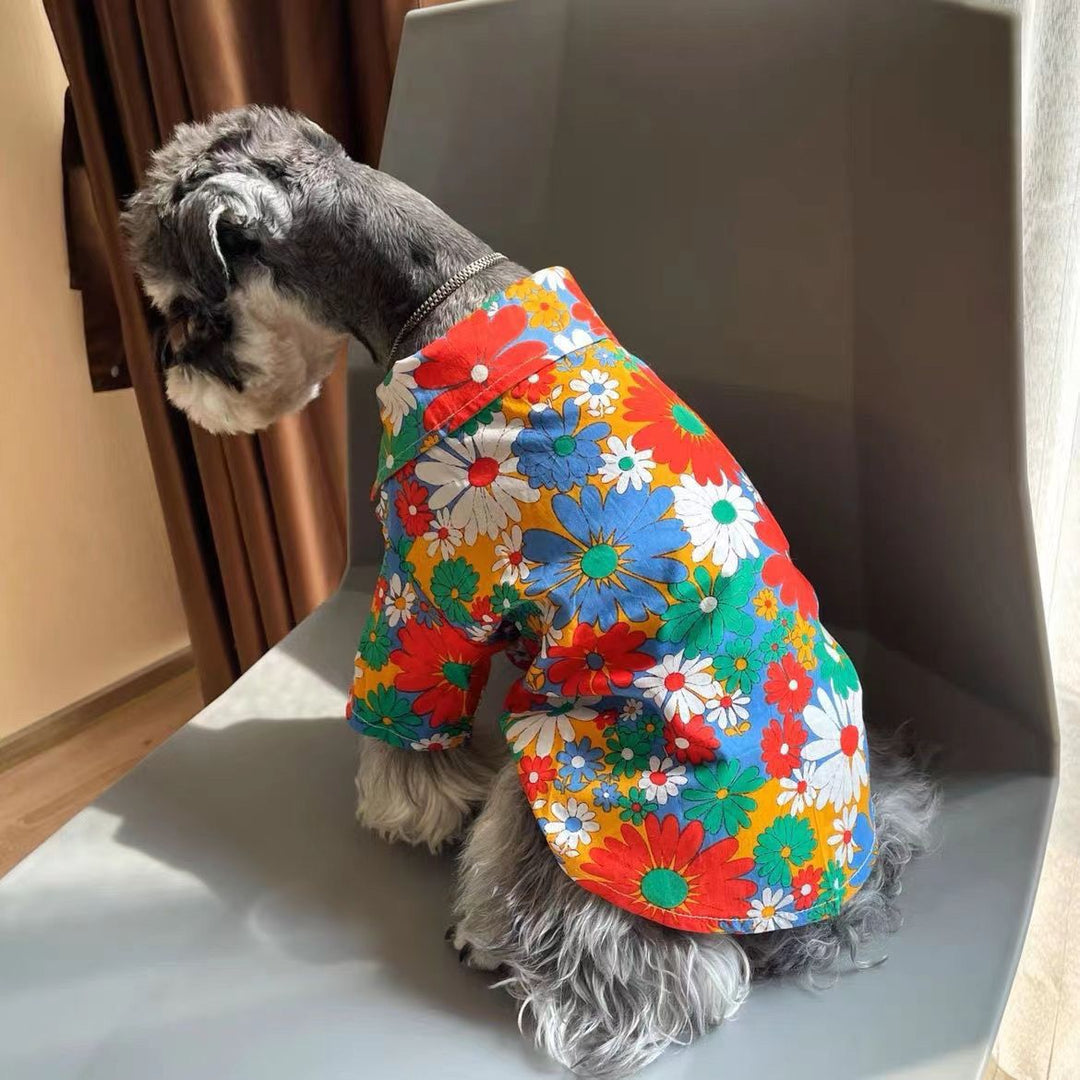 Back view of daisy-print shirt