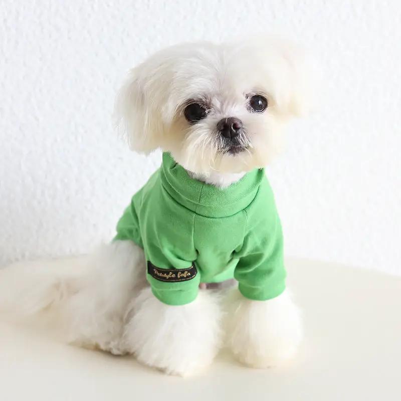 SOCKPET small dog spring solid color two-legged sweater in green worn by a fluffy white dog