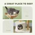 Bild in Galerie-Betrachter laden, PawHut Woven Nest Cat Tree resting-space collage showing a gray-and-white cat in the woven basket bed and lower condo.
