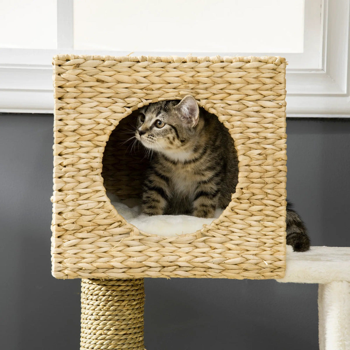 Cattail Weave Cat Tree for Indoor Cats, natural rattan with white cushion