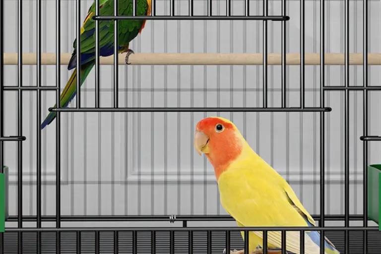 SkyNest Double-Level Bird Cage Premium Spacious Two-Story Home by Sell My Stuff
