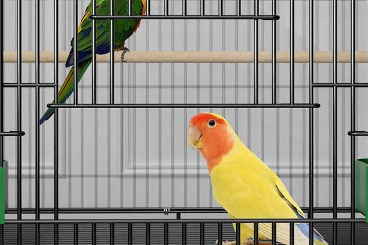 SkyNest Double-Level Bird Cage Premium Spacious Two-Story Home by Sell My Stuff