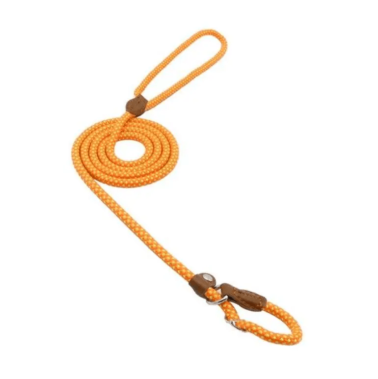 Nylon Pup Set Premium Leather Collar Leash Double Stitch Design by For Animals, With Love